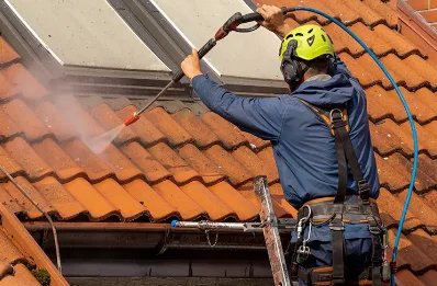 Démoussage et hydrofuge de toiture à Taillant
